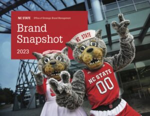 Brand Snapshot Cover